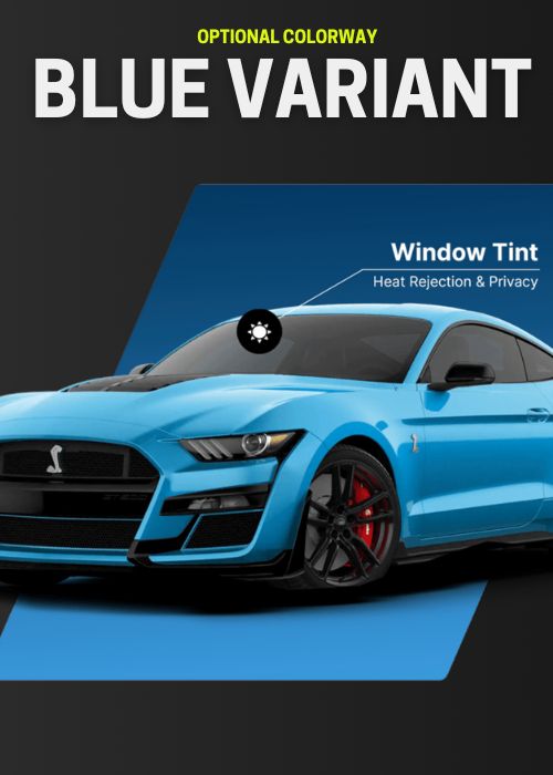 Window Tint Landing Page